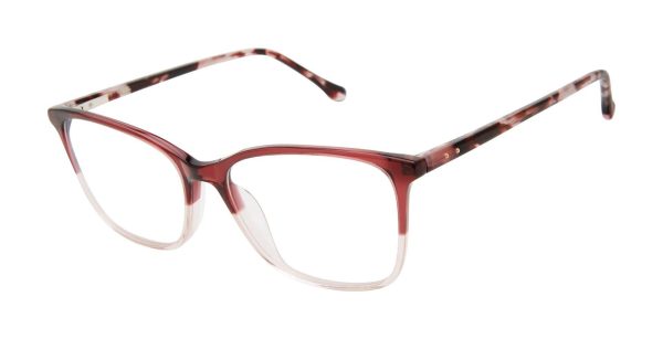 Buffalo by David Bitton BW025 Eyeglasses Online now - Image 4
