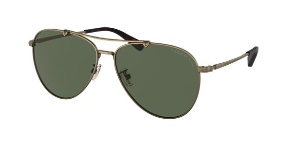 Coach C8005 7136 Sunglasses Supply - Image 2
