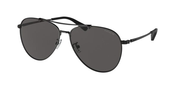 Coach C8005 7136 Sunglasses Supply