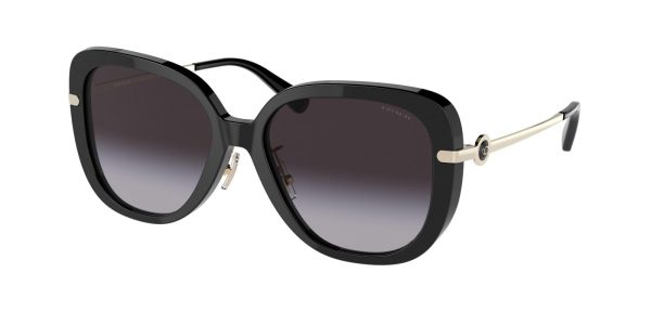 Coach C6141 8320F Sunglasses Online