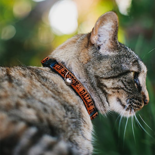 Breakaway Cat Collar with Bell - Dallas-Raleigh-Tennessee-Austin-Boston Stripes Browns Black on Sale - Image 2